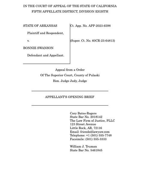 definition of briefs in court.
